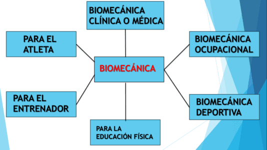 Conceptos De Biomec Nica Que Debes Concoer