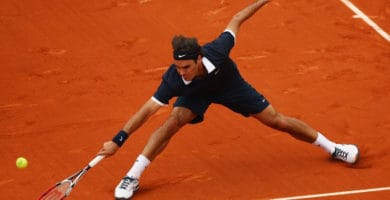 Federer en tiierra