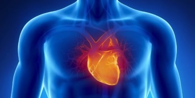 riesgo cardiovascular