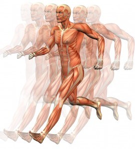 cuerpo humano corriendo