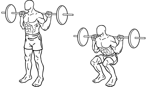 Squat, sentadilla, pesas, musculacion, musculo, pierna, fuerza