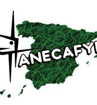 Logo de Anecafyde