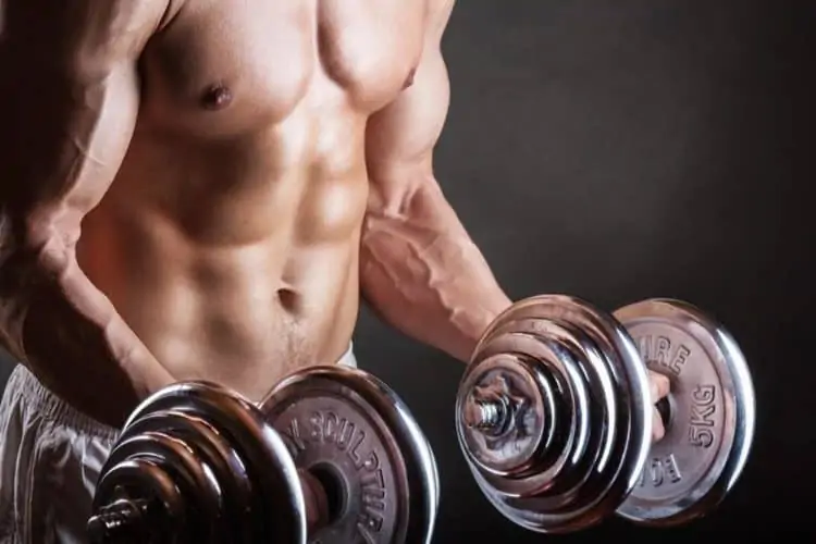 claves para la ganancia muscular