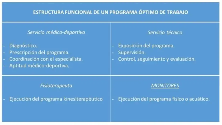 Estructura funcional de un programa óptimo de trabajo