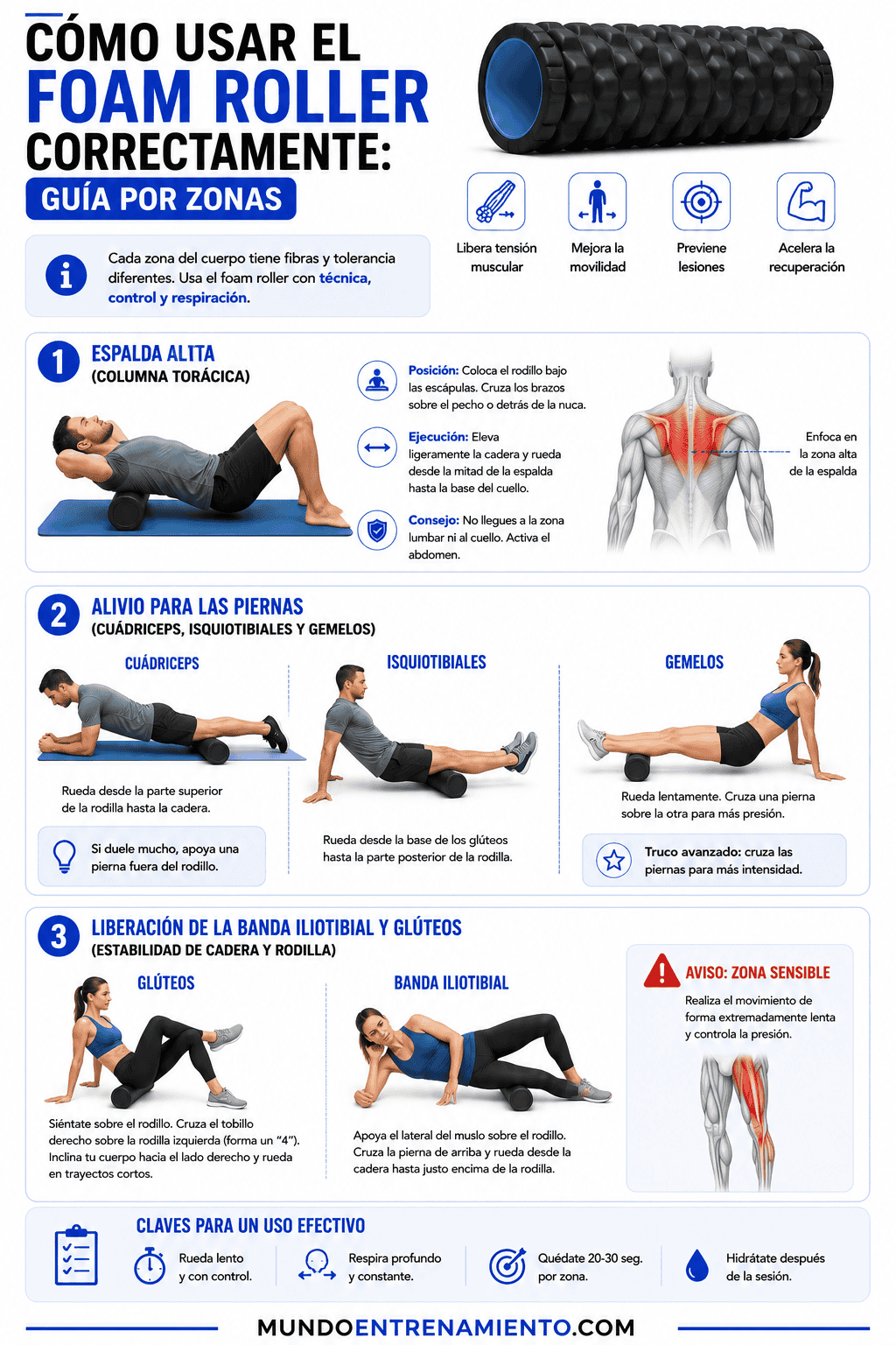 Foam Roller: Guía 2026 sobre beneficios, ejercicios y uso Uso foam roller zonas