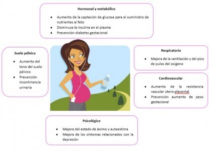 Figura 1