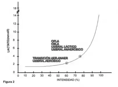 Gráfico 2. Transición aeróbico-anaeróbico.