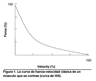 curva fuerza velocidad