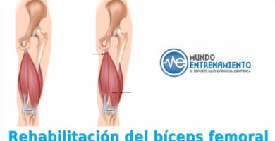 Rehabilitación bíceps femoral