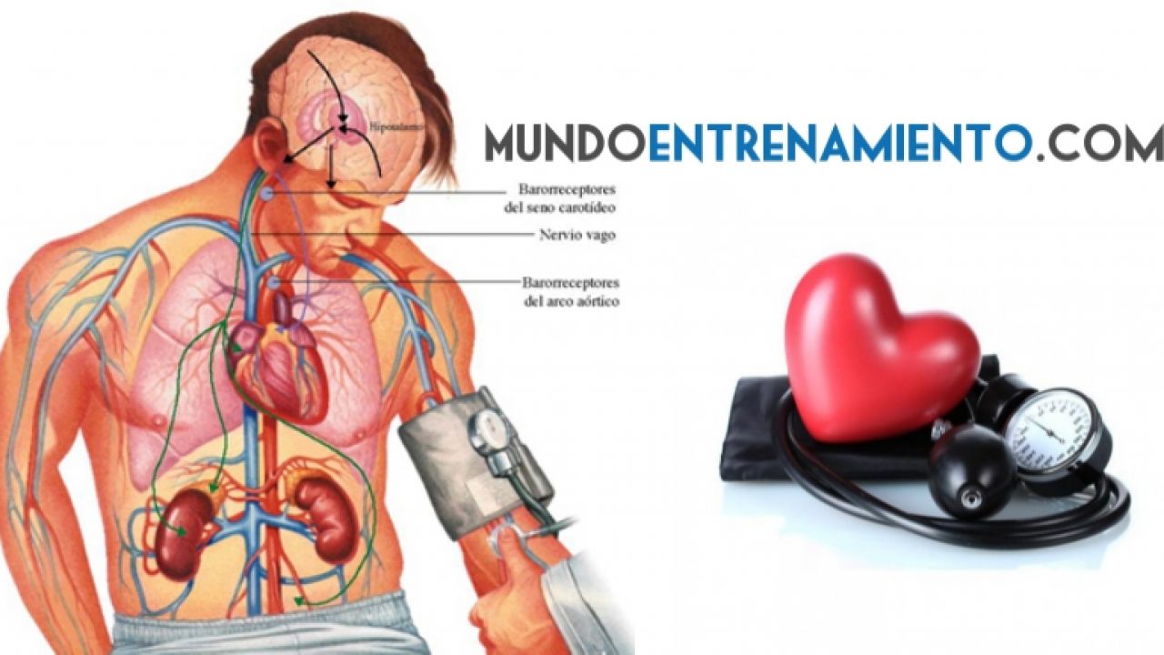 Prescripción de ejercicio de hipertensión para mayores