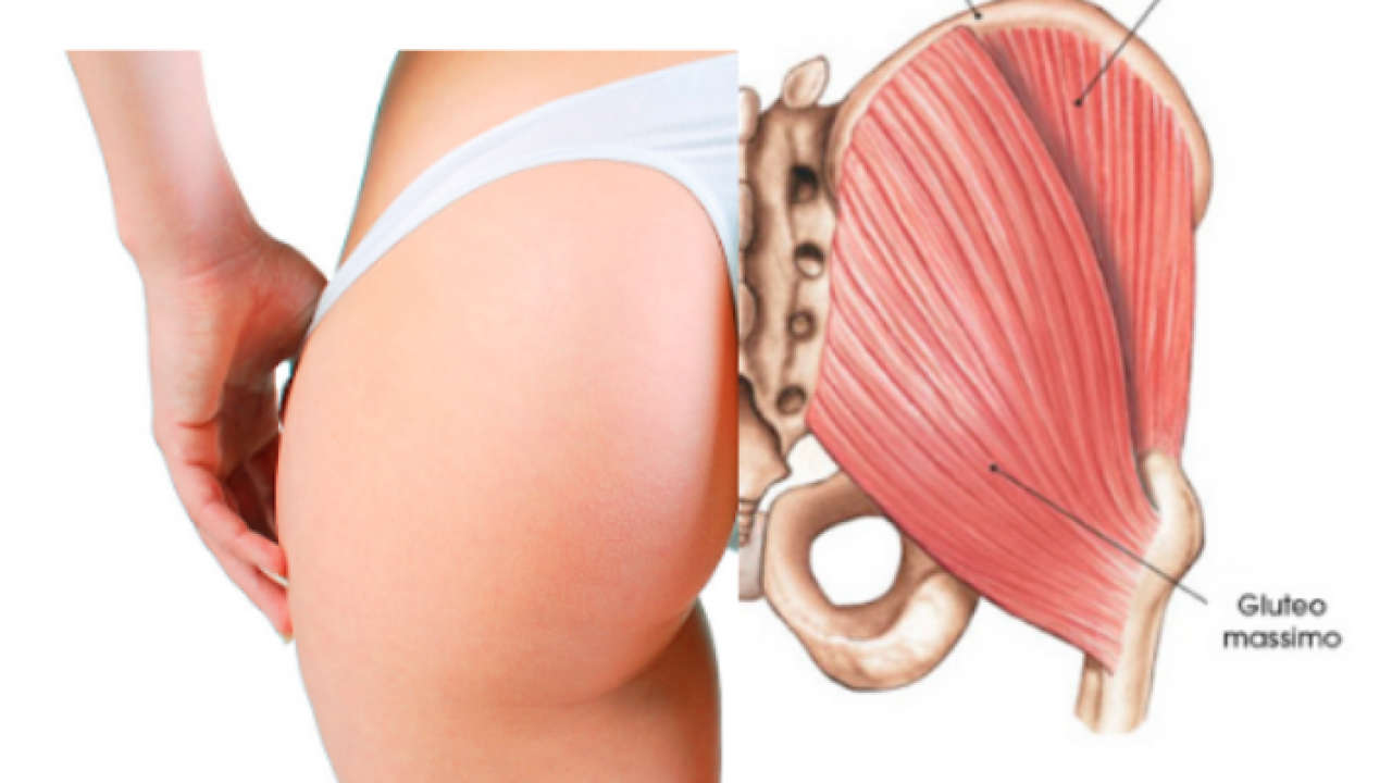 ejercicios para aumentar gluteo mayor