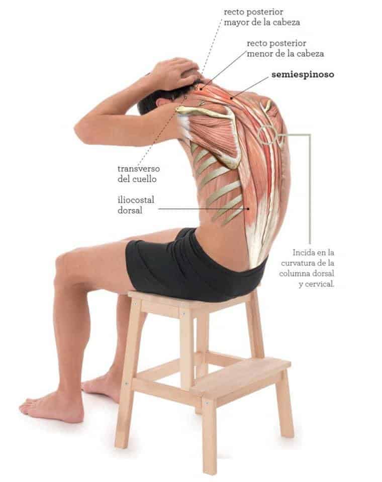 ejercicio del cuello sentado