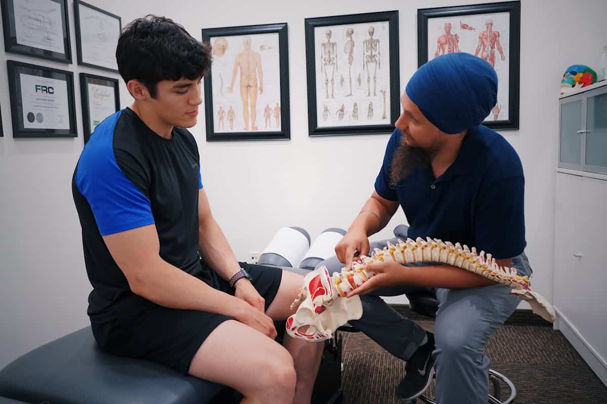Anatomía de la médula espinal