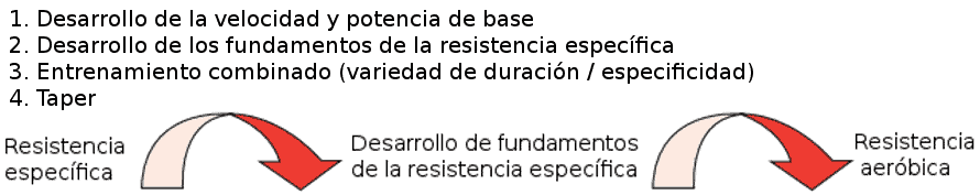 periodización del entrenamiento