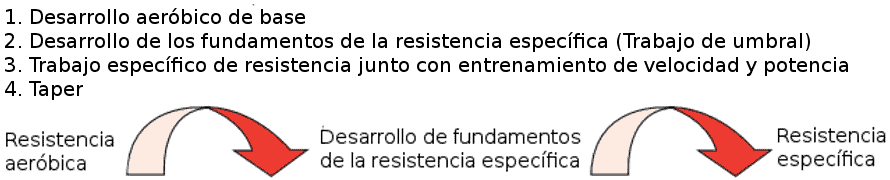 Periodización tradicional resistencia