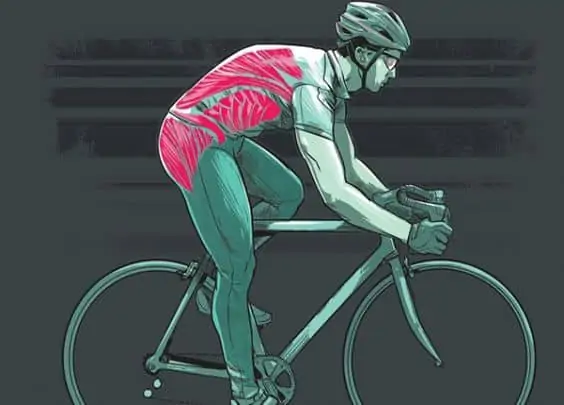 Ejercicios de core para ciclistas