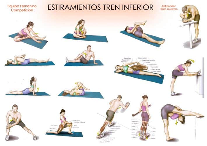 tabla estiramientos tren inferior