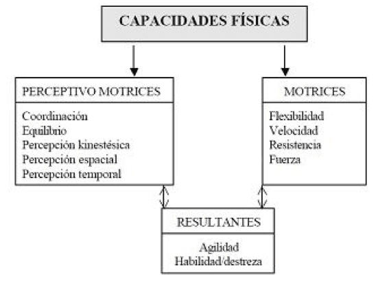 Resultado de imagen para capacidades fisicas motrices condicionales y coordinativas de futbol