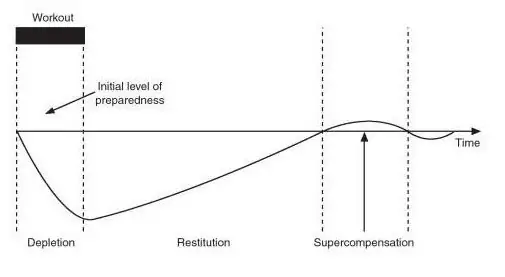 ciclo de supercompensación