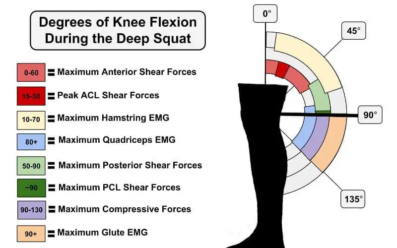 Grados de flexión de rodilla durante la sentadilla