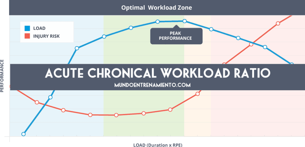 acute chronical workload ratio