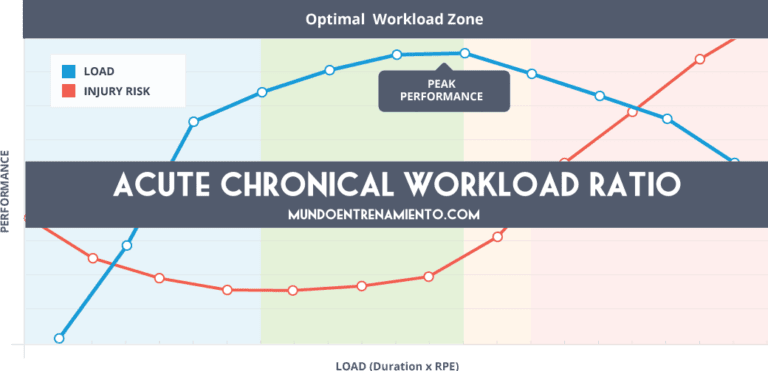 acute chronical workload ratio