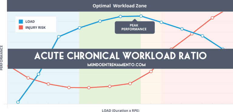 acute chronical workload ratio