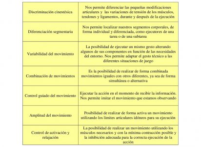 Área de ejecución motriz