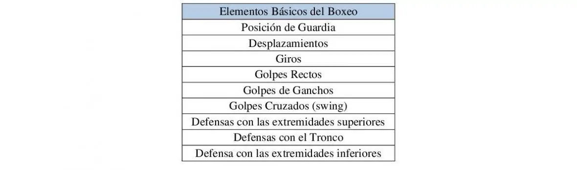 Elementos básicos del Boxeo