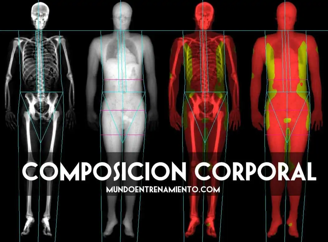 Composición corporal y salud