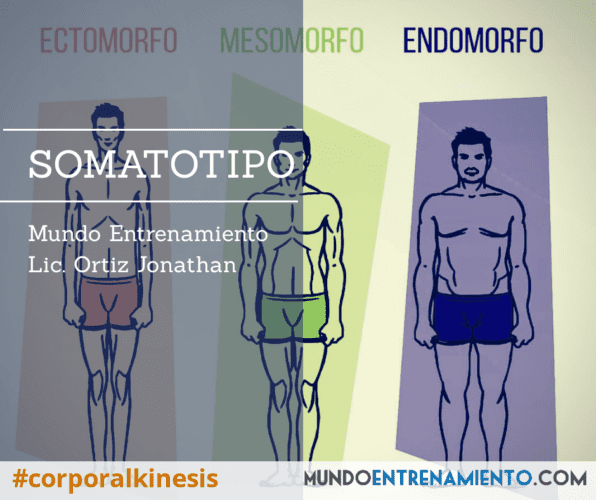 Somatotipo y su abordaje 1 Somatotipo y su importancia.