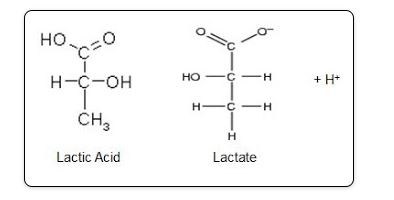 Propiedades físicas entre el ácido láctico y el lactato sódico.