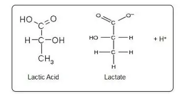 Propiedades físicas entre el ácido láctico y el lactato sódico.