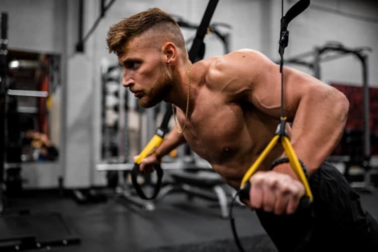 Tipos de músculos y su función Tipos de músculos del cuerpo humano y su función
