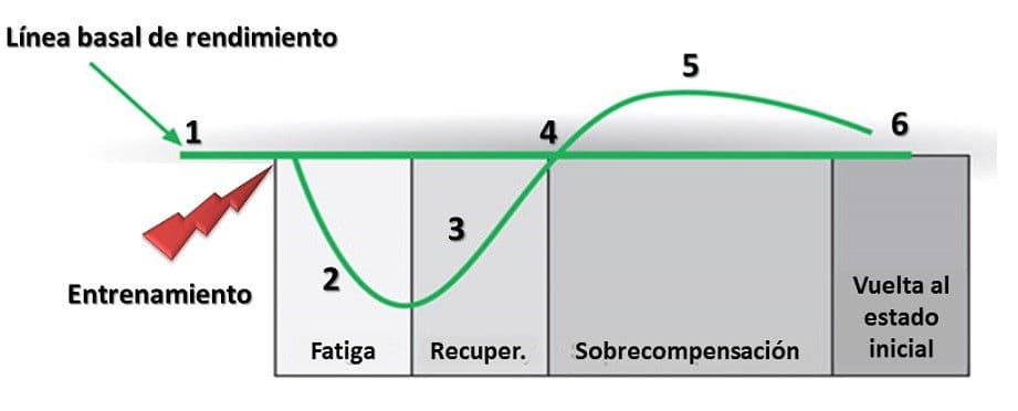 Figura 1. Principio de supercompensación