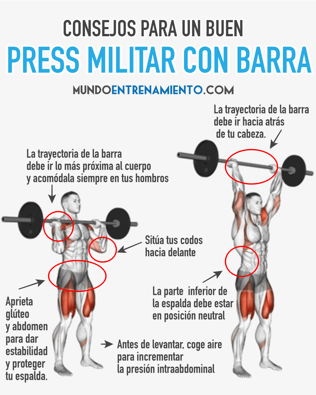 Landmine press: Guía completa sobre Técnica y músculos press militar