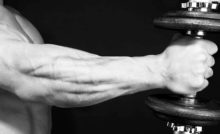 Entrenamiento de fuerza como perdida de peso google scholar