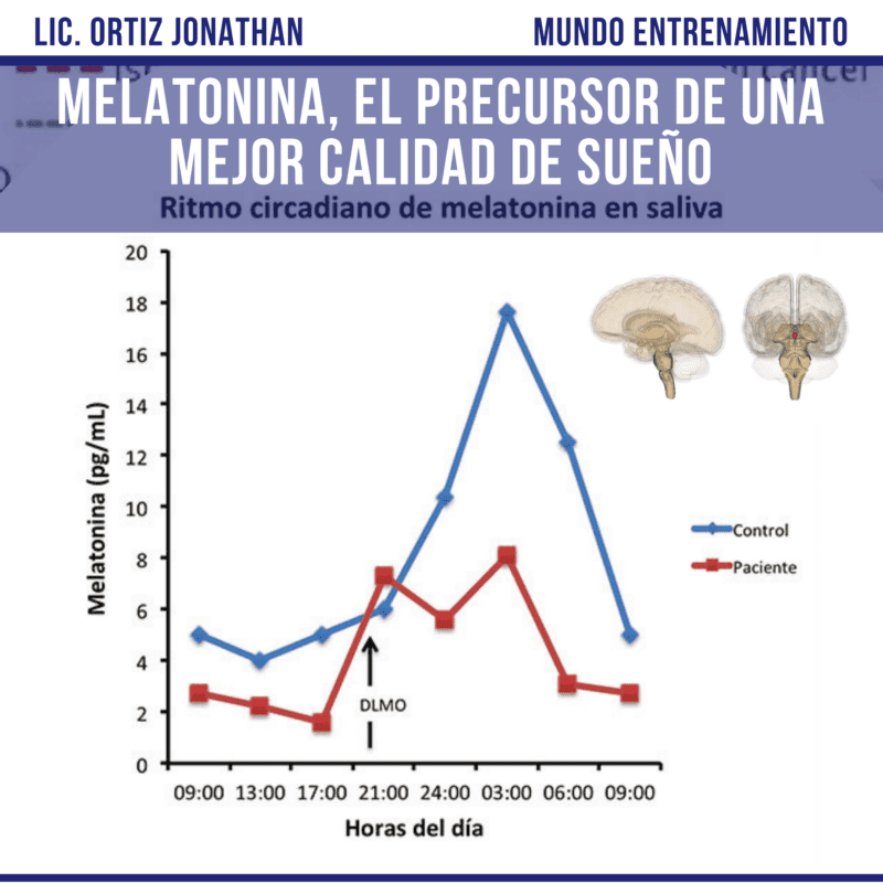 The importance of the circadian rhythm in the release of melatonin.