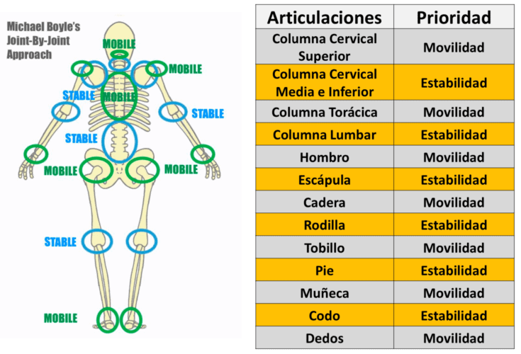 7 Formas de intensificar el entrenamiento en casa Continuum, la importancia de reconocer la función de cada articulación
