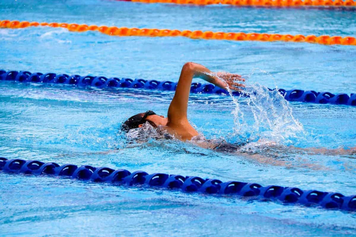 freestyle swimming technique