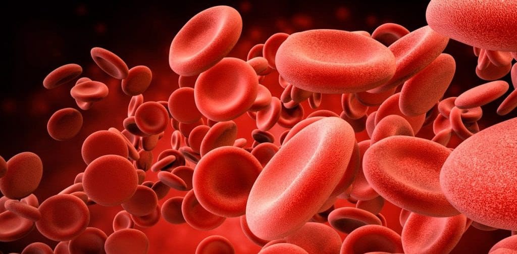 glóbulos rojos de la sangre
