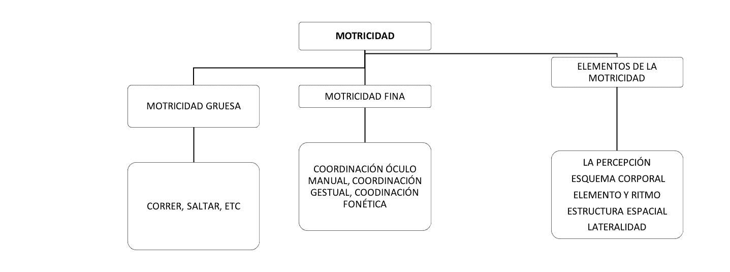 Motricidad Fina Y Gruesa 2 ámbitos Clave En El Desarrollo 