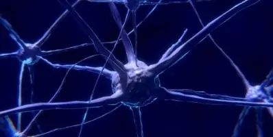 neuronas espejo y fútbol