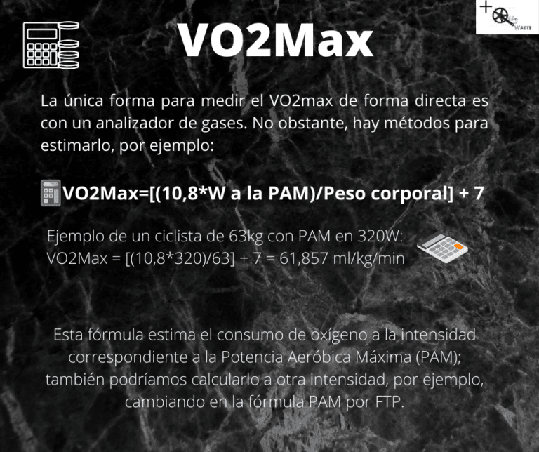 VO2 Max: What it is, why it is important and how to calculate it.