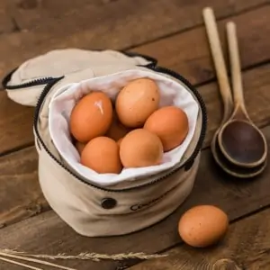 Los huevos son fuente de proteínas