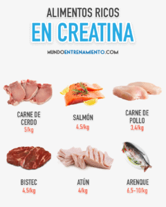 Tipos de creatina ¿Cuáles es la mejor?