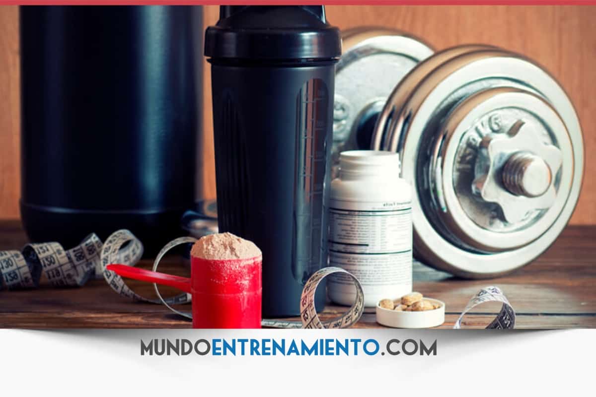 ▷ Las 10 mejores Máquinas para Ganar Músculo (GYM)