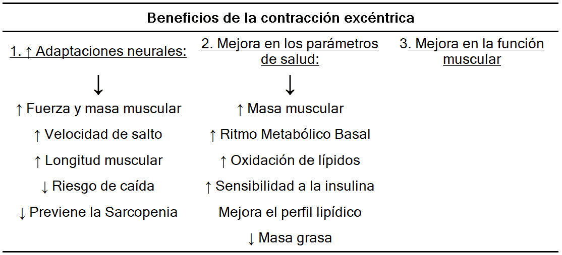 Tabla 1. Beneficios de la contracción excéntrica. Elaboración propia. Extraído de Hody et al. (2019) (7).