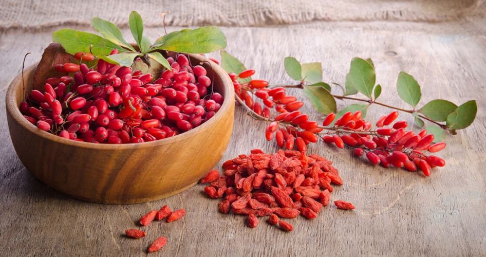 3 beneficios de la suplementación con berberina suplementación con berberina de EMFIT Nutrition