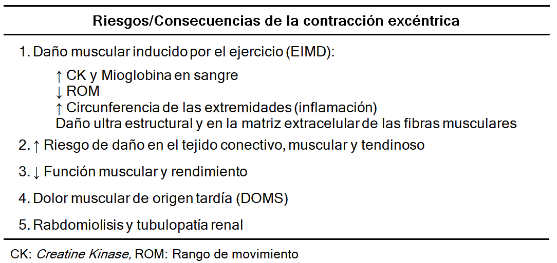 Tabla 2. Riesgos de la contracción excéntrica. Elaboración propia. Extraído de Hody et al. (2019) (7).